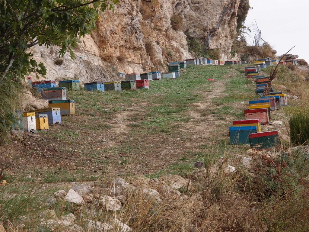 Bienenstand auf Kreta